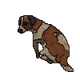 CuteDog Collection