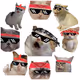 Bandana Cats