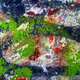 paint