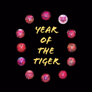 Year of the Tiger NFTs