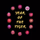 Year of the Tiger NFTs