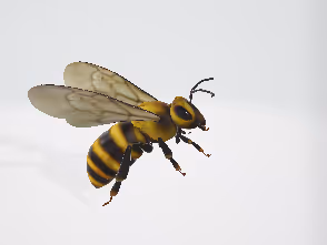 3D Movable for various perspective