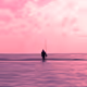 Wonderland-Sea