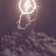 Zeus ZUZ