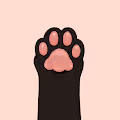 Kedi - Cat Paws