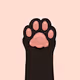Kedi - Cat Paws