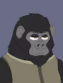 CryptoGorillaV2