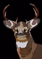 Frisky Deer