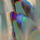0xSimulacra