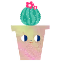 Sassy Succulents