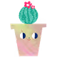 Sassy Succulents