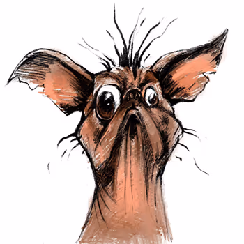 Ugly animals 66