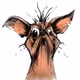 Ugly animals 66