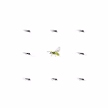 Just ant