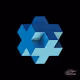 Polyhedron project