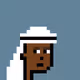 The Mini Saudis