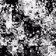 Metamosaic by Tyler Boswell