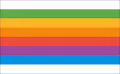 Classic Internet Flags - {Absolute Degenerate Minimalism} - old