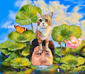 NongLucut
