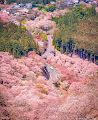 Beauty In Nature collection