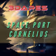 3-D Apes Starships