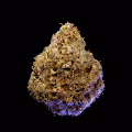 Look Labs - 420 Buds