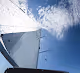 Catalina Sailing Mixer