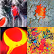 Snuffie's Abstract Collection