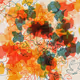 Chris Wallace Generative Art