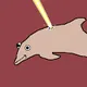 Dolphin Town