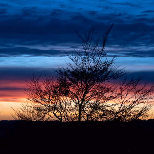 Southern Scotand Shots