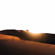 Stranded in the desert