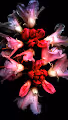 Midnight Flower Power
