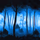 Sancar Art "Misty Forest" Collection