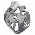 Colletion 1: Heart Of Chambers