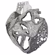Colletion 1: Heart Of Chambers