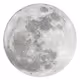 Moon Without Bird