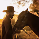 Kayseri's Wild Horses - old
