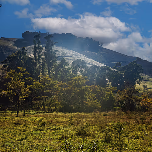 Real natural landscapes