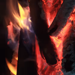 Espace réservé aux médias de l'article