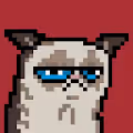 Crypto Grumpy Cat