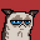 Crypto Grumpy Cat