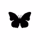 Butterflies Museum