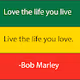 Shark_City_Quotes