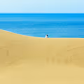 Tottori Sand Dunes(Tottori/Japan)