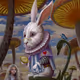The White Rabbit V4