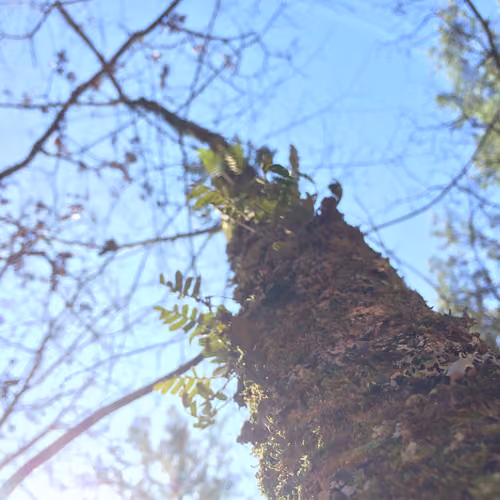 Small Scale Observations in the Great Outdoors