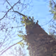 Small Scale Observations in the Great Outdoors