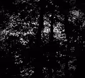 Black and white photography by Msecrest - old