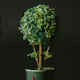 Pixel Plants